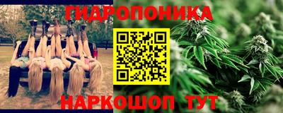 молекула духа Партизанск