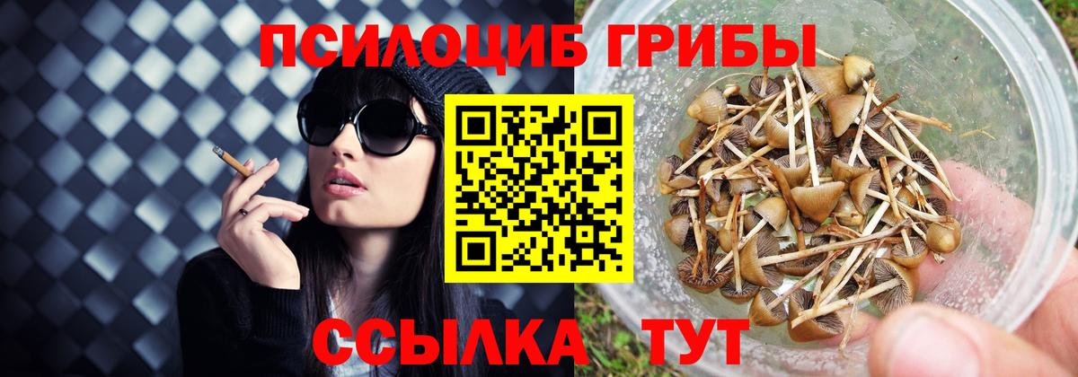 Сунжа  Галлюциногенные грибы прущие грибы  Вход с VPN 